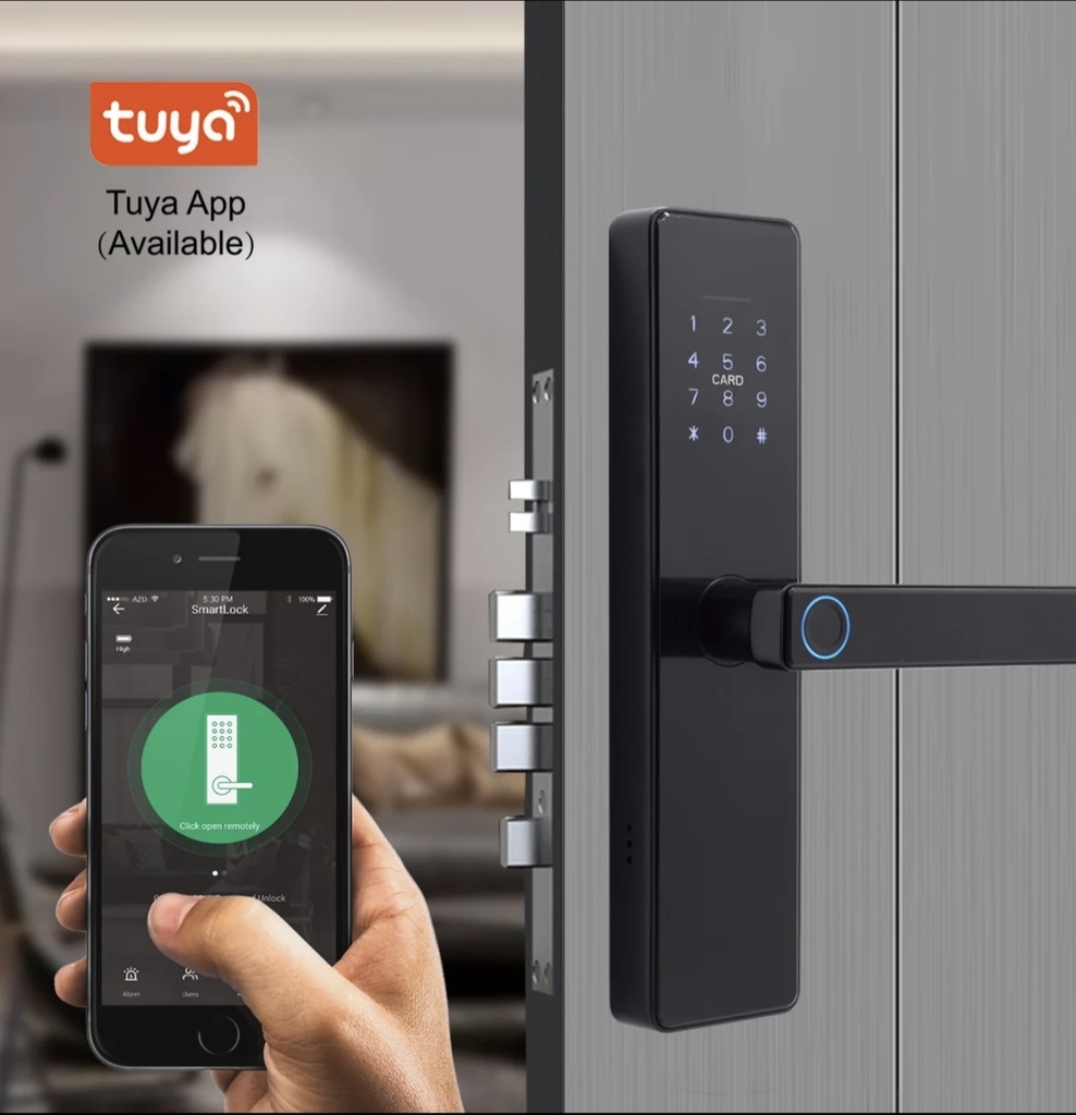 [Lpl015] Door lock nasentons