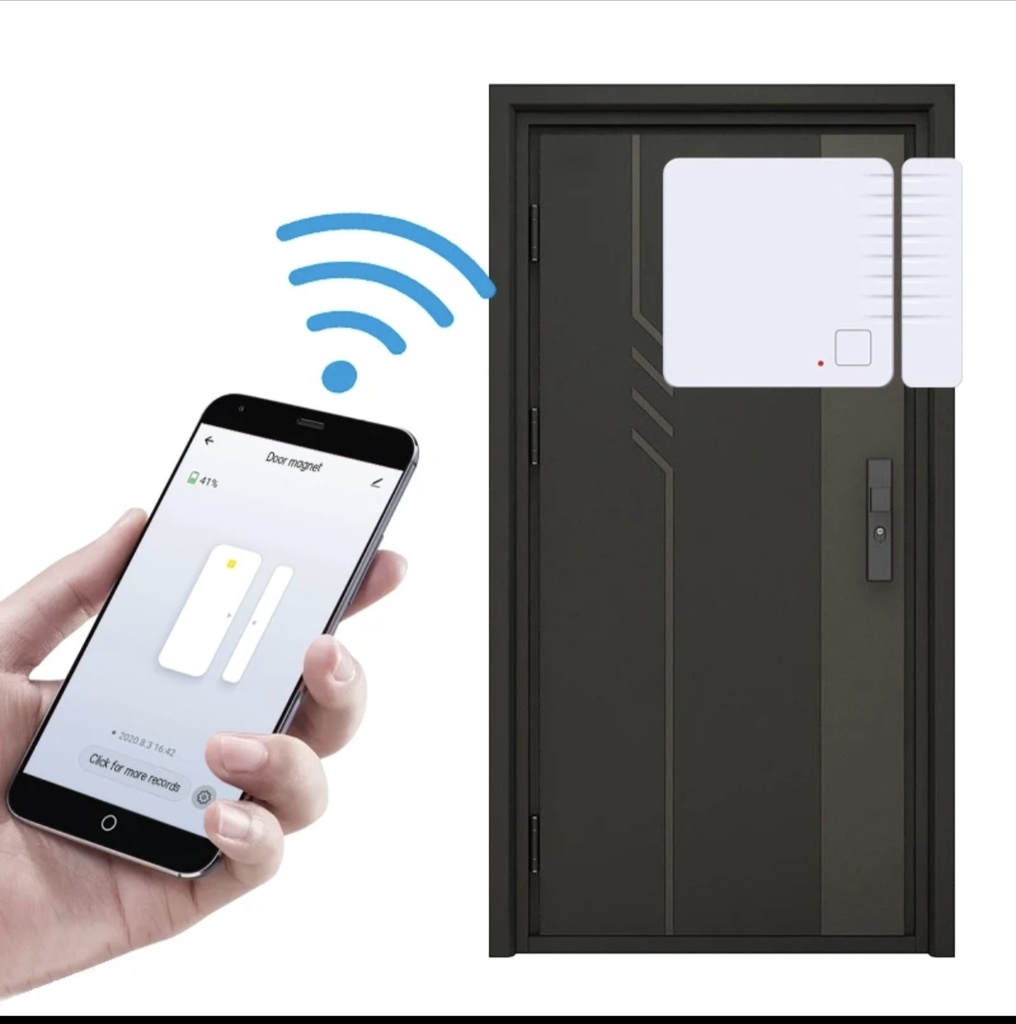 Motion door sensor ariza